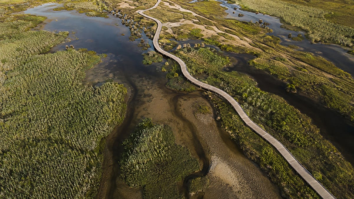Saltmarsh channels and a boardwalk in the demo landscape