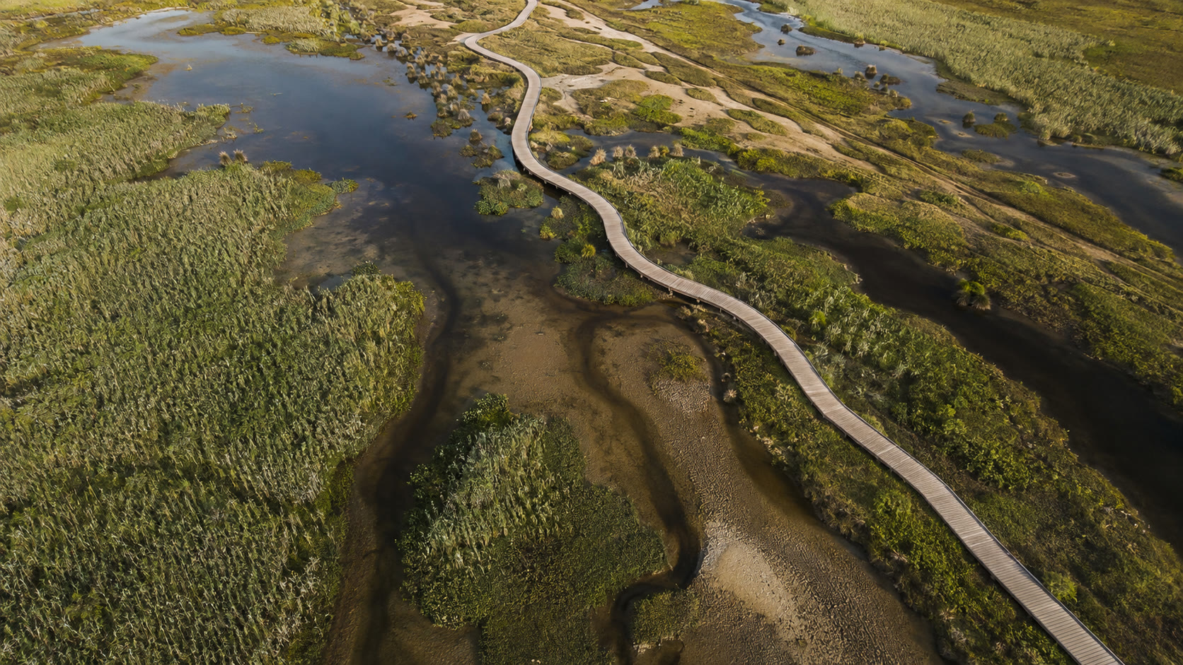 Coastal habitats and public boardwalk